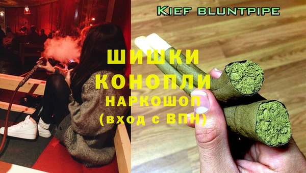apvp Балахна