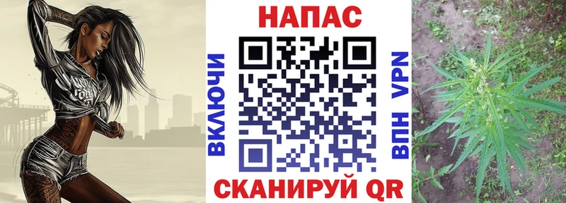 Канабис Bruce Banner Верхняя Пышма